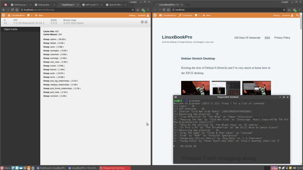 Local WordPress development in Peppermint OS
