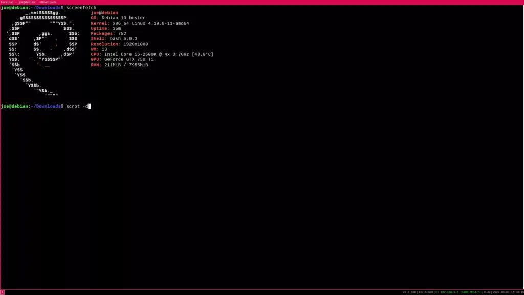 xfce4-terminal displaying screenfetch on Debian Buster in i3wm