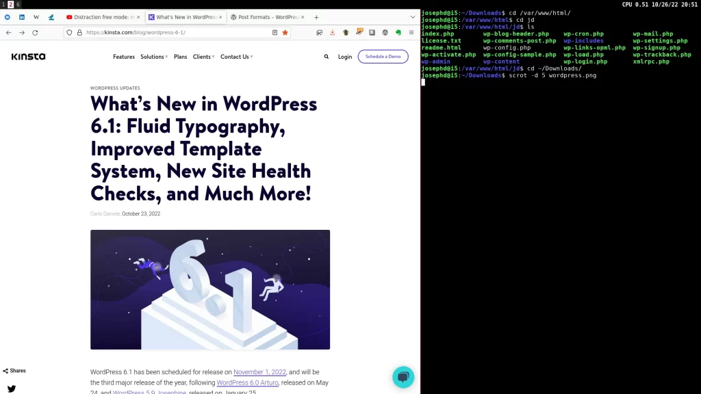 Reading up on WordPress 6.1